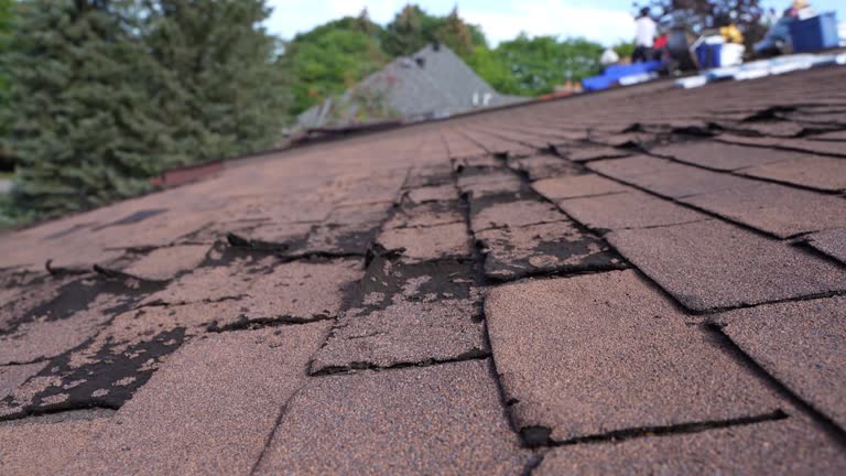 Best Roof Leak Repair  in Pulaski, NY